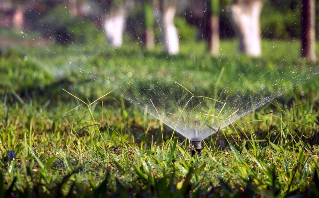 A close-up view of a garden sprinkler watering a lush green lawn in a sunny backyard.